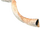 Joshua's Trumpet