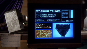 Charles Atlas Workout Trunks Screen - Larger.png