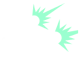 Perk Smg Akimbo