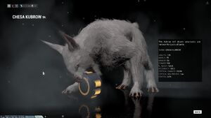 Chesa Kubrow Codex