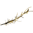 Exalted Umbra Blade