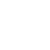 IronSkin