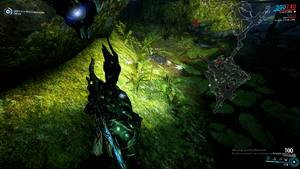 Warframe Moonlight Dragonlily 3