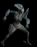 Banshee Agile Unarmed.gif (1.02 MB) Unarmed