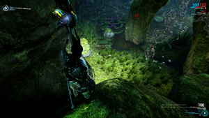 Warframe Moonlight Dragonlily 2