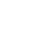 ElectricShield130xWhite.png