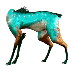 Venari with Maculatia Skin Spikes : r/Warframe