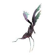 ViscidAvichaea.png