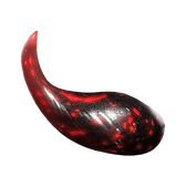 Kuva.png