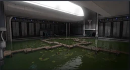 Caritas Water Garden