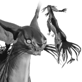 Solstice Kavat Fur Pattern 40 Platinum 40