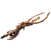 Synapse.png