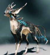 Vad Kavat