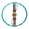 Xoris.png