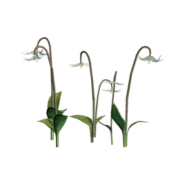 MoonlightDragonlily