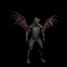 NyctalusEphemera