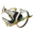 VerglasPrime
