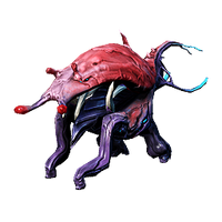 DEMaggot