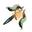 KineticSiphonTrap