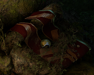 Teshin's Veil sitting unused in his cave.