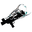 AngstrumIncarnonGenesis