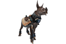 Sloughi Kubrow Armor Part of the Baruuk Collection bundle