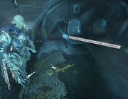 Акколада Зариума