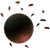 Sedna