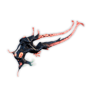 Amniophysi.png