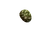 ForestDayCommon.png