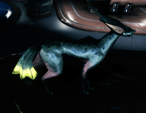 Kavat 6.2