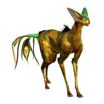 AdarzaKavat