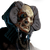 VorPortrait d.png