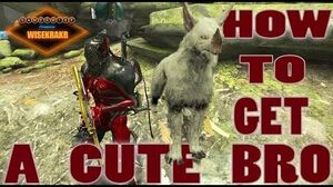 HOW TO GET A KUBROW - Warframe Hints Tips