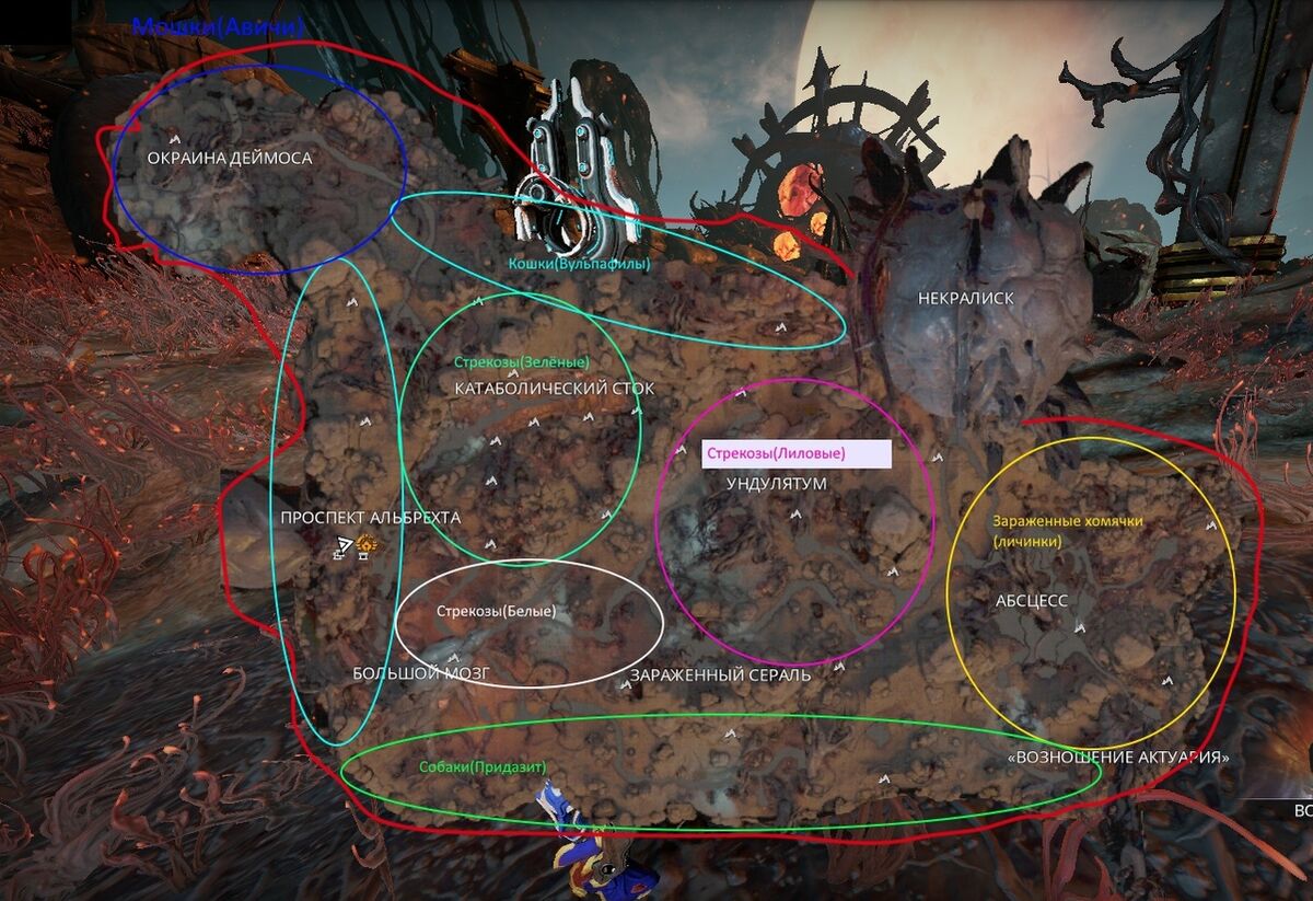 Warframe Деймос карта животных