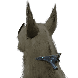 TaichenKubrowCollar