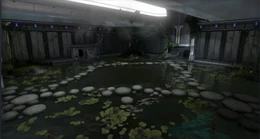 Temperita Water Garden