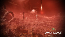 The two new codes seem to be DUVIRI-(anywarframe). Weird but not bad a