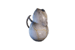 LisetPropCetusJug