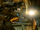 Petrify.png