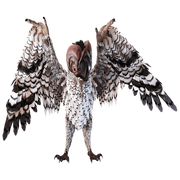 Sawgaw sedoso.png