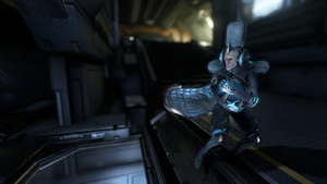 Treasurer captura