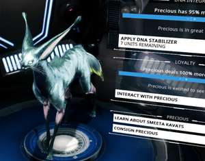 Kavat 6.1