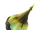 Ковнік