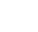 NSW icon.png