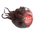 DendriteBlastoma.png