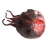 DendriteBlastoma.png