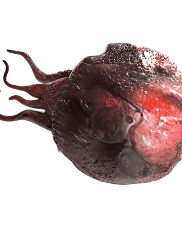 Synapse Synapse