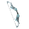 Paris.png