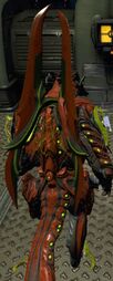 A rear view of Chroma's storage of Tonfas